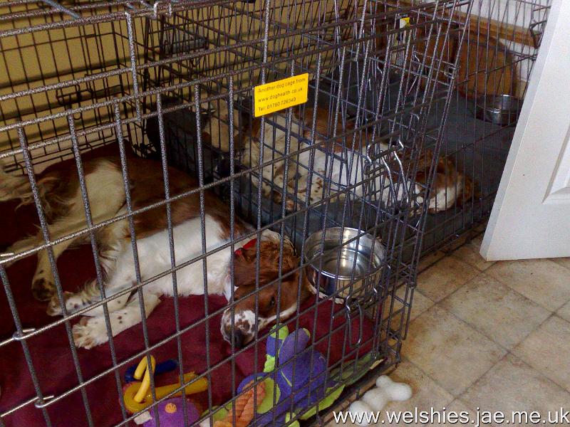 2009-10-23 02.jpg - Change of position, but still mirror each other